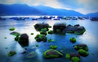 Đảo Bình Hưng - Ninh Chữ - Nha Trang 4 ngày 3 đêm