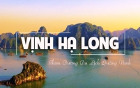 Bảng giá & Thông tin tour Hạ Long 1 ngày. Mới 2026