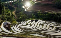 Tour Du Lịch Hà Giang - Hoàng Su Phì Mùa Nước Đổ - Chiêu Lầu Thi 2 Ngày 3 Đêm