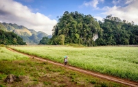 Tour Du Lịch Mộc Châu - Sapa 3 Ngày 2 Đêm