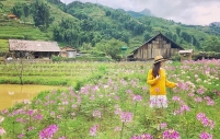 Tour Sapa 2 Ngày 1 Đêm: Sapa - Cát Cát - Hàm Rồng (Xe Limousine)