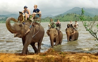 Tour Du Lịch Tây Nguyên - Buôn Đôn - Thác Draynur 1 Ngày