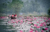 Tour Du Lịch Chùa Hương - Đền Đức Thánh Cả 1 Ngày