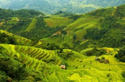 Mộc Châu - Sơn La