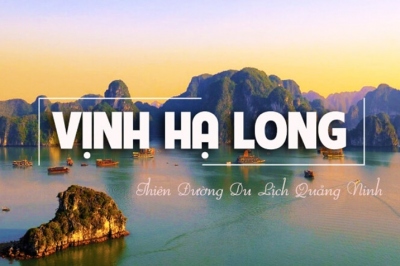 Bảng giá & Thông tin tour Hạ Long 1 ngày. Mới 2026