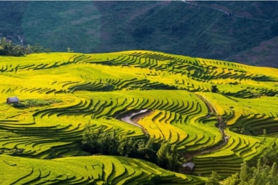 Du lịch Sapa - Fansipan - Y Tý - Lũng Pô 3 ngày 2 đêm