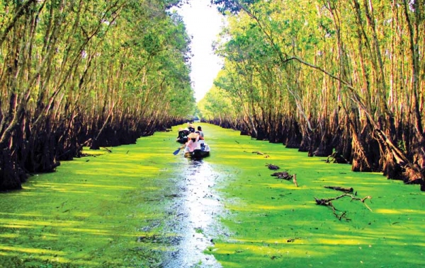 Tour khám phá mùa nước nổi Châu Đốc - Trà Sư