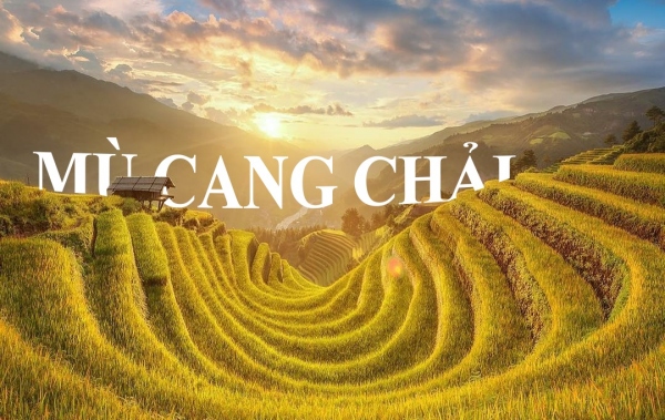 Hà Nội - Mù Cang Chải 3 ngày 2 đêm - Mùa lúa chín