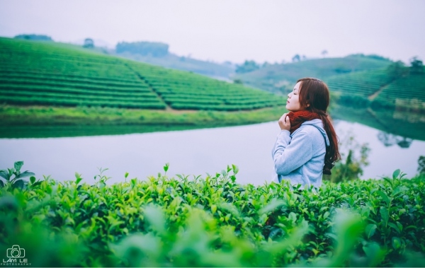 Tour Hà Nội - Nghệ An - đảo chè Thanh Chương - VQG Pù Mát 3 ngày 2 đêm