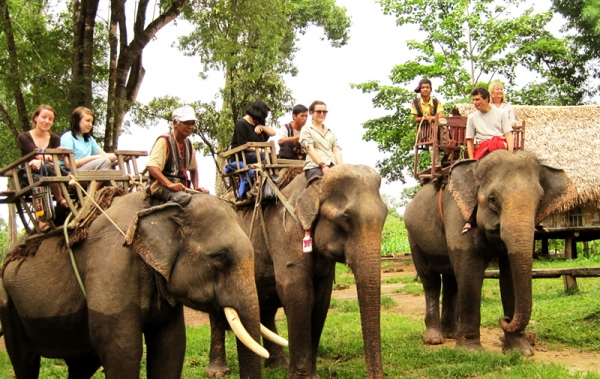 Tour Du Lịch Tây Nguyên - City Tour - Buôn Đôn 1 Ngày