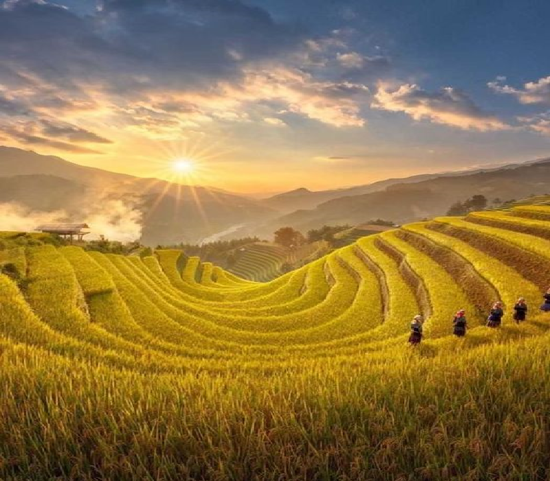 Mu Cang Chai