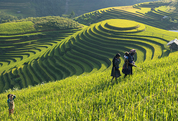 Những địa điểm du lịch ở Lào Cai khiến người ta “phát nghiện”2