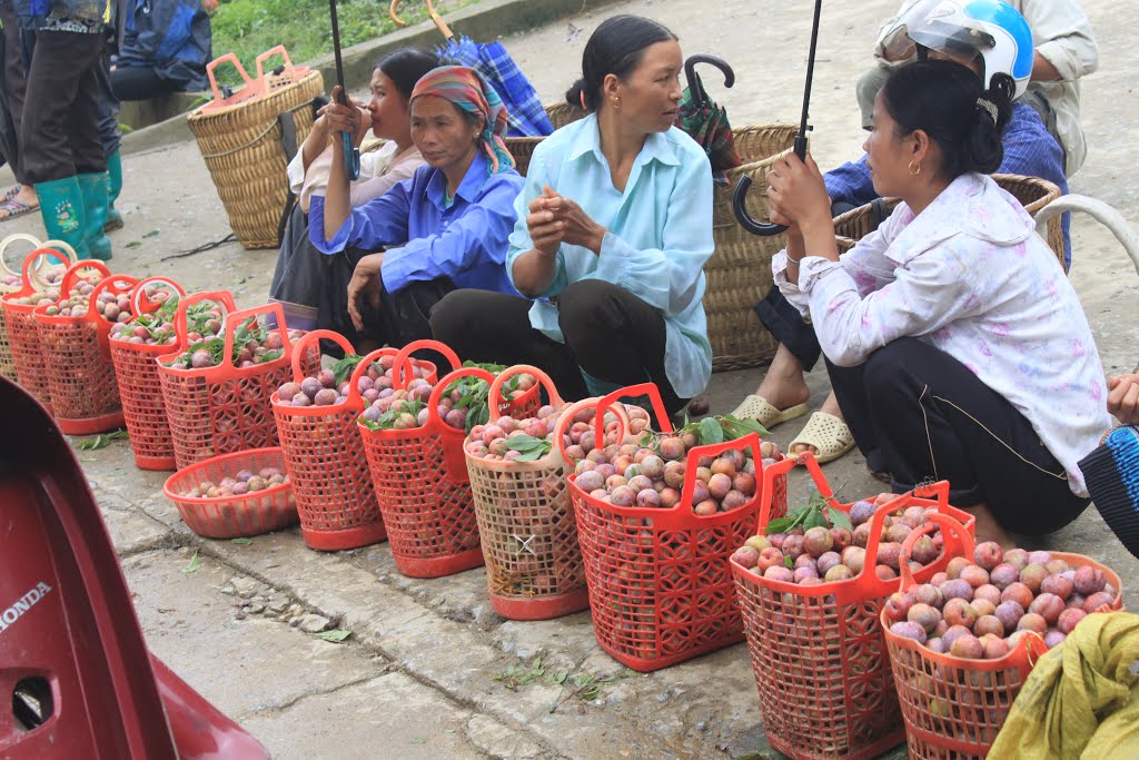 Những địa điểm du lịch ở Lào Cai khiến người ta “phát nghiện”4