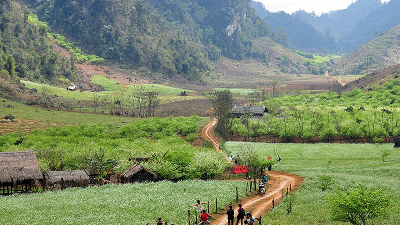 TỔNG HỢP những điểm du lịch ở Mộc Châu nhất định phải ghé qua3