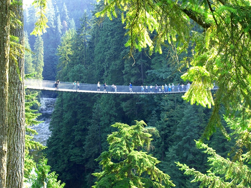 Cầu treo Capinalo Suspension Bridge Canada