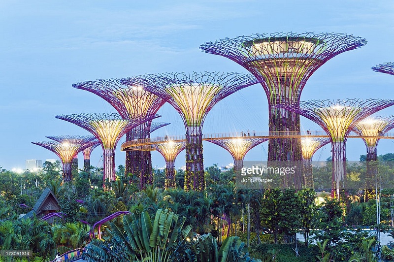 Gardens by the bay - Singapore