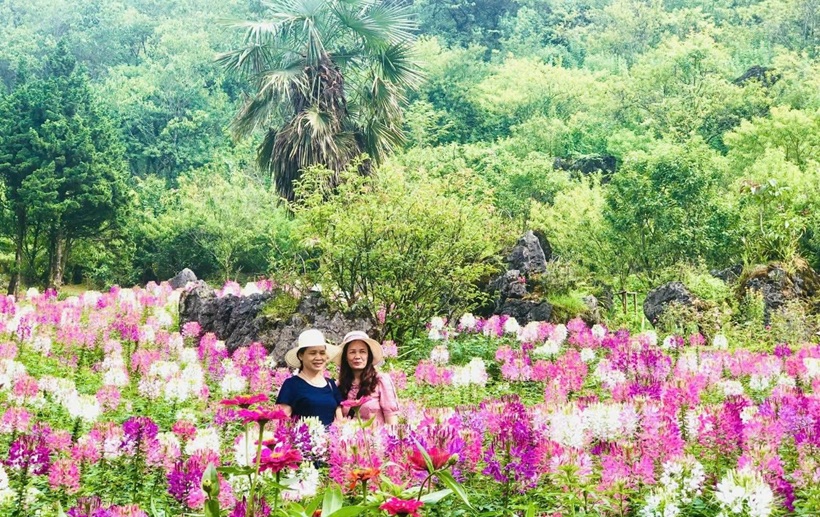 Núi Hàm Rồng Sapa - Du lịch Sapa 2 ngày 1 đêm