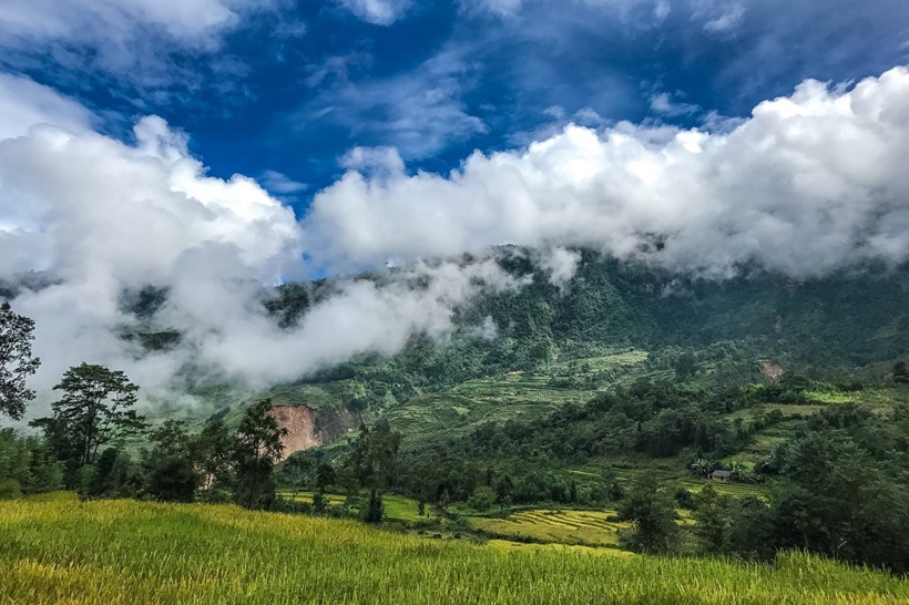 Rừng già Y Tý - Du lịch Sapa - Fansipan - Y Tý - Lũng Pô 3 ngày 2 đêm