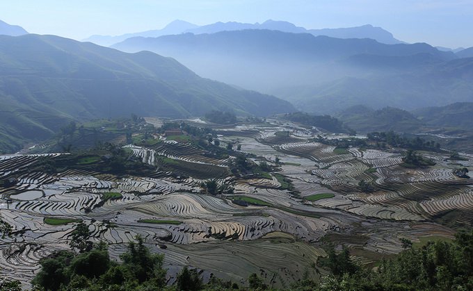 ruộng bậc thang sapa