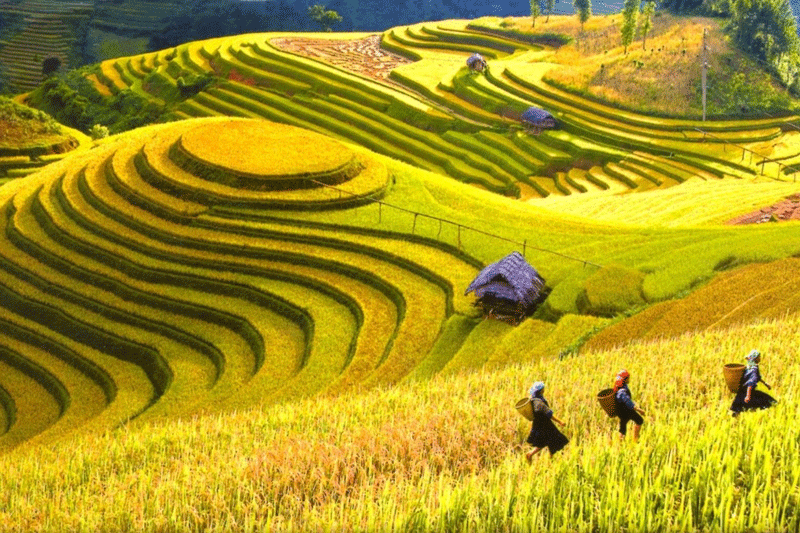 du-lich-ha-giang